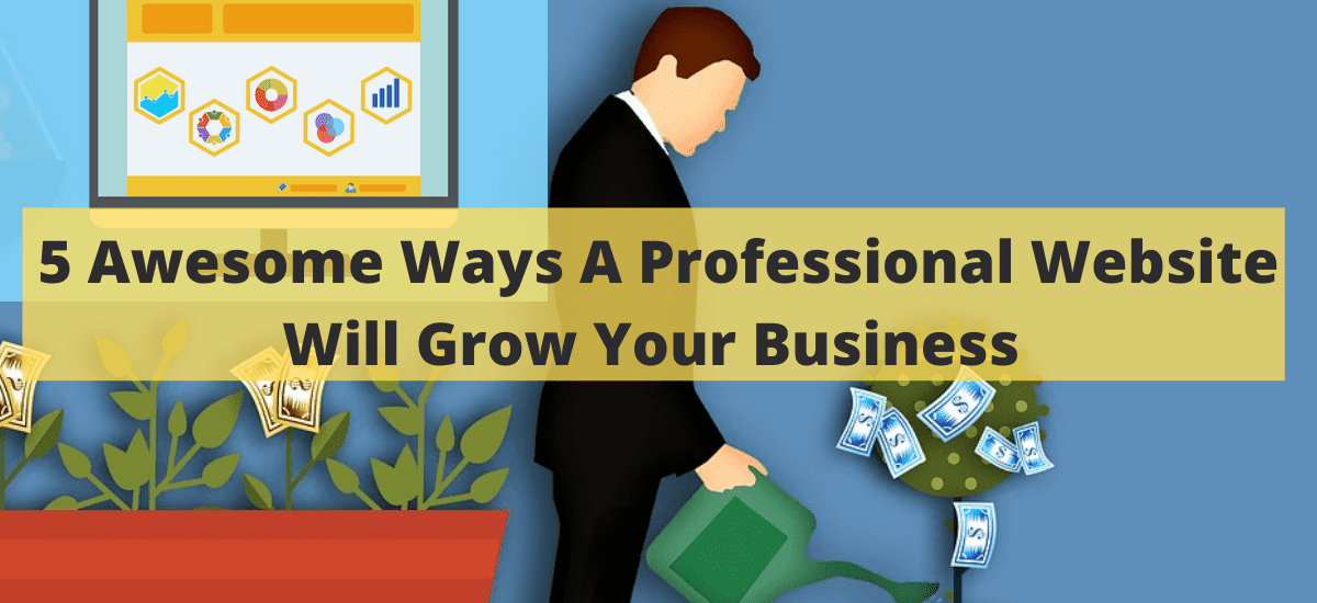 5 Awesome Ways A Professional Website Will Grow Your Business.